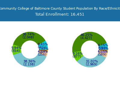 Community College of Baltimore County 2025 Student Population by Gender and Race chart