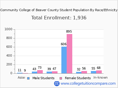 Community College of Beaver County 2025 Student Population by Gender and Race chart