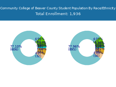 Community College of Beaver County 2025 Student Population by Gender and Race chart