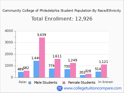 Community College of Philadelphia 2025 Student Population by Gender and Race chart