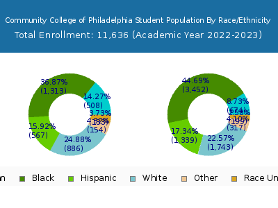 Community College of Philadelphia 2023 Student Population by Gender and Race chart
