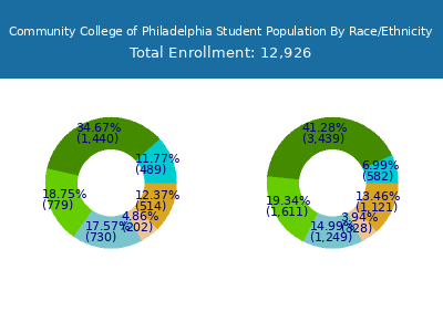 Community College of Philadelphia 2025 Student Population by Gender and Race chart