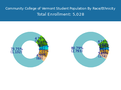 Community College of Vermont 2025 Student Population by Gender and Race chart