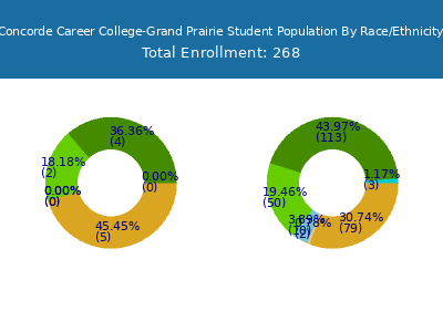 Concorde Career College-Grand Prairie 2025 Student Population by Gender and Race chart