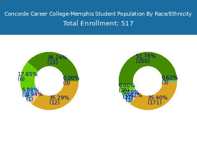 Concorde Career College-Memphis 2025 Student Population by Gender and Race chart
