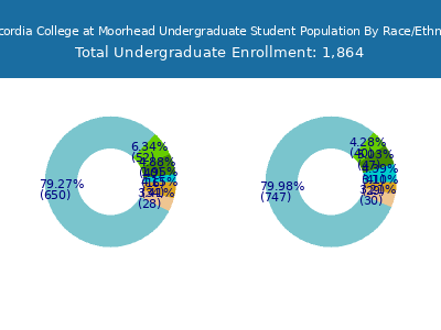 Concordia College at Moorhead 2025 Undergraduate Enrollment by Gender and Race chart