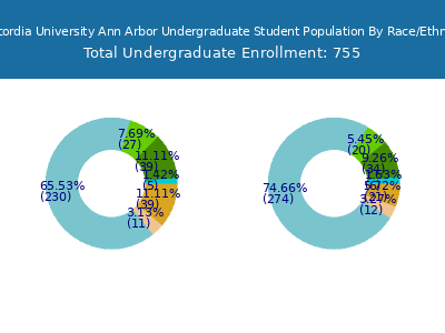 Concordia University Ann Arbor 2025 Undergraduate Enrollment by Gender and Race chart