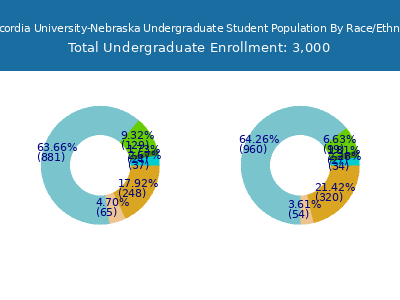 Concordia University-Nebraska 2025 Undergraduate Enrollment by Gender and Race chart