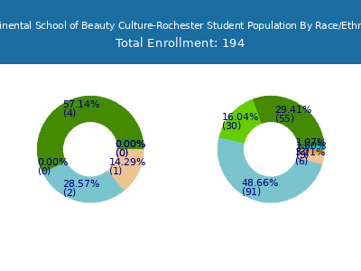 Continental School of Beauty Culture-Rochester 2025 Student Population by Gender and Race chart