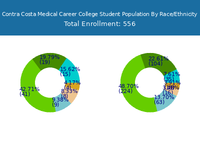 Contra Costa Medical Career College 2025 Student Population by Gender and Race chart