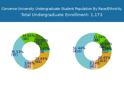 Converse University 2025 Undergraduate Enrollment by Gender and Race chart