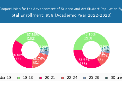 The Cooper Union for the Advancement of Science and Art 2023 Student Population Age Diversity Pie chart