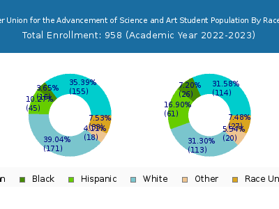 The Cooper Union for the Advancement of Science and Art 2023 Student Population by Gender and Race chart