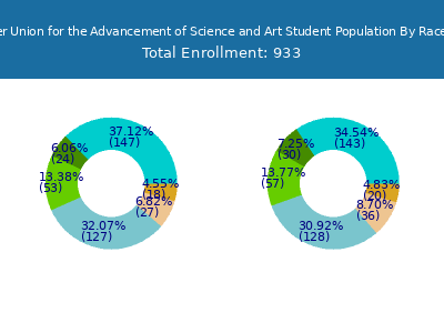 The Cooper Union for the Advancement of Science and Art 2025 Student Population by Gender and Race chart