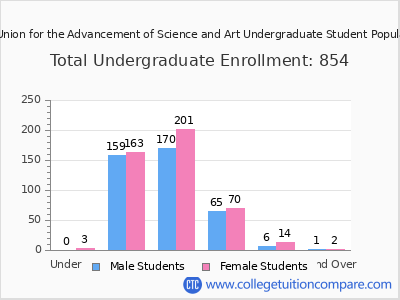 The Cooper Union for the Advancement of Science and Art 2025 Undergraduate Enrollment by Age chart