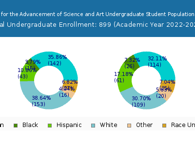 The Cooper Union for the Advancement of Science and Art 2023 Undergraduate Enrollment by Gender and Race chart