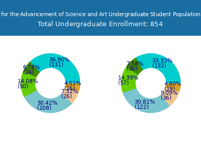 The Cooper Union for the Advancement of Science and Art 2025 Undergraduate Enrollment by Gender and Race chart