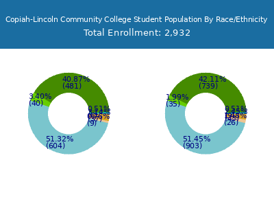 Copiah-Lincoln Community College 2025 Student Population by Gender and Race chart