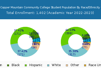 Copper Mountain Community College 2023 Student Population by Gender and Race chart