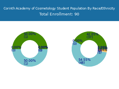Corinth Academy of Cosmetology 2025 Student Population by Gender and Race chart