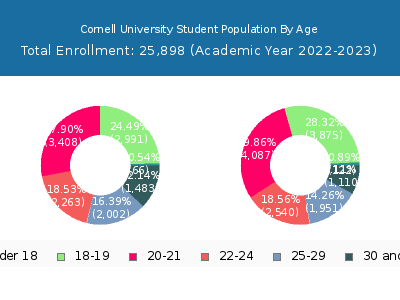 Cornell University 2023 Student Population Age Diversity Pie chart