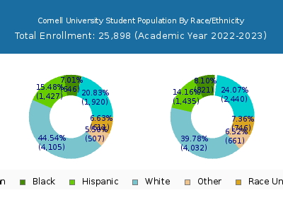 Cornell University 2023 Student Population by Gender and Race chart