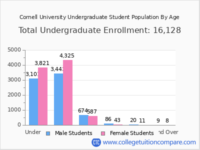 Cornell University 2025 Undergraduate Enrollment by Age chart