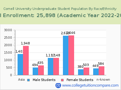 Cornell University 2023 Undergraduate Enrollment by Gender and Race chart