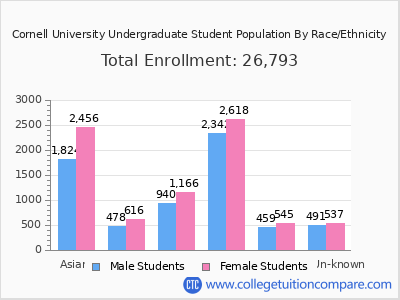 Cornell University 2025 Undergraduate Enrollment by Gender and Race chart