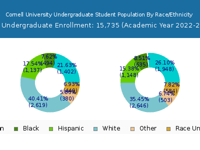Cornell University 2023 Undergraduate Enrollment by Gender and Race chart