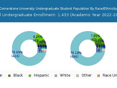 Cornerstone University 2023 Undergraduate Enrollment by Gender and Race chart