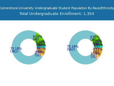 Cornerstone University 2025 Undergraduate Enrollment by Gender and Race chart