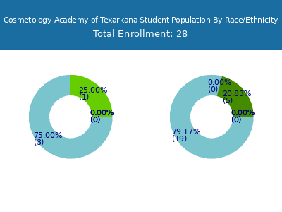 Cosmetology Academy of Texarkana 2025 Student Population by Gender and Race chart