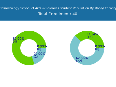 Cosmetology School of Arts & Sciences 2025 Student Population by Gender and Race chart