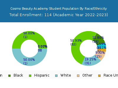 Cosmo Beauty Academy 2023 Student Population by Gender and Race chart