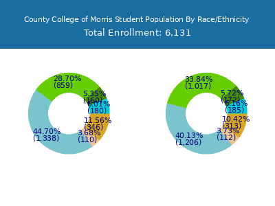 County College of Morris 2025 Student Population by Gender and Race chart