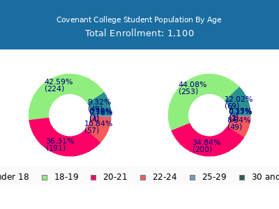 Covenant College 2025 Student Population Age Diversity Pie chart