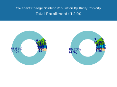 Covenant College 2025 Student Population by Gender and Race chart