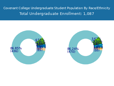 Covenant College 2025 Undergraduate Enrollment by Gender and Race chart