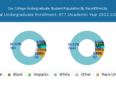 Cox College 2023 Undergraduate Enrollment by Gender and Race chart