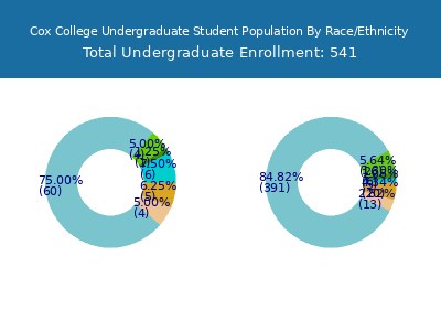 Cox College 2025 Undergraduate Enrollment by Gender and Race chart