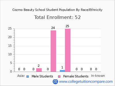 Cozmo Beauty School 2025 Student Population by Gender and Race chart