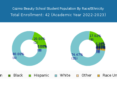 Cozmo Beauty School 2023 Student Population by Gender and Race chart
