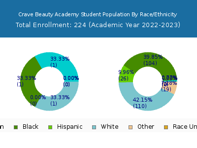 Crave Beauty Academy 2023 Student Population by Gender and Race chart