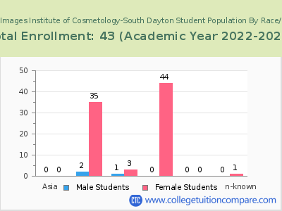 Creative Images Institute of Cosmetology-South Dayton 2023 Student Population by Gender and Race chart