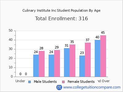 Culinary Institute Inc 2025 Student Population by Age chart
