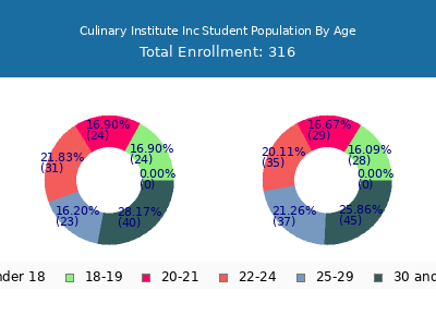 Culinary Institute Inc 2025 Student Population Age Diversity Pie chart
