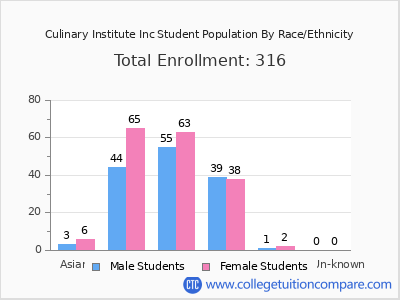 Culinary Institute Inc 2025 Student Population by Gender and Race chart