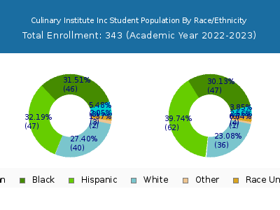 Culinary Institute Inc 2023 Student Population by Gender and Race chart