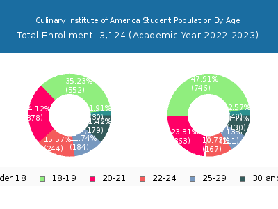 Culinary Institute of America 2023 Student Population Age Diversity Pie chart